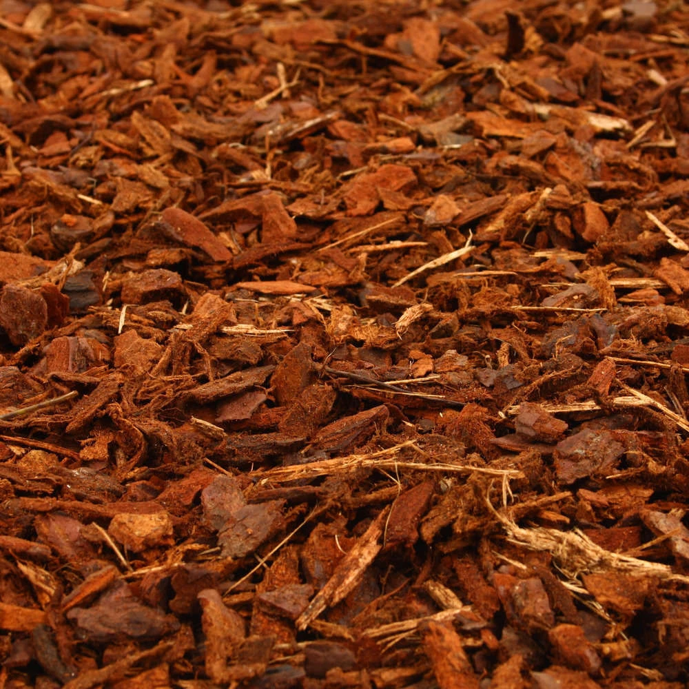 Paillage D'écorces De Pin Calibre 10/25 Mm - Sac De 60 Litres 5 Paillage D'écorces De Pin Calibre 10/25 Mm - Sac De 60 Litres – Image 3