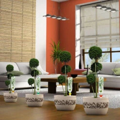 Cône D'Arrosage D'absence : Jusqu'à 25 Cm 7 Cl - S, Orange - Pack 3+1 9 Cône D'Arrosage D'absence : Jusqu'à 25 Cm 7 Cl - S, Orange - Pack 3+1 -Magasin De Fournitures De Jardin 177127 008