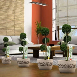 Cône D'Arrosage D'absence : 30 à 40 Cm 20 Cl - M, Vert - Pack 3+1 -Magasin De Fournitures De Jardin 177131 008