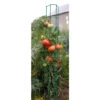 Colonne Tomate : 180cm 1 Colonne Tomate : 180cm -Magasin De Fournitures De Jardin 308884 001