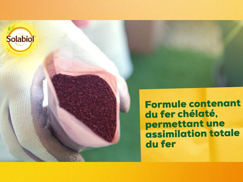 Solabiol Soseq01 | Sequestrene Antichlorose 100g | Action Longue Durée | Fabriq 5 Solabiol Soseq01 | Sequestrene Antichlorose 100g | Action Longue Durée | Fabriq – Image 3
