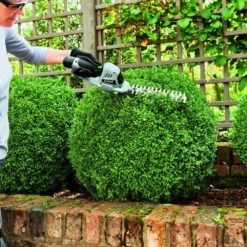 Taille Herbe Et Haie Lame 200 Mm Pack Batterie Et Chargeur 2 Ah Ego Cht2001e 12 Taille Herbe Et Haie Lame 200 Mm Pack Batterie Et Chargeur 2 Ah Ego Cht2001e -Magasin De Fournitures De Jardin 6358477784cc77.40938340