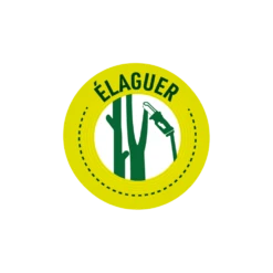 Pack Tronçonneuse Sans Fil + Batterie De Rechange-vert -Magasin De Fournitures De Jardin 6363b0dbb5b924.38775051