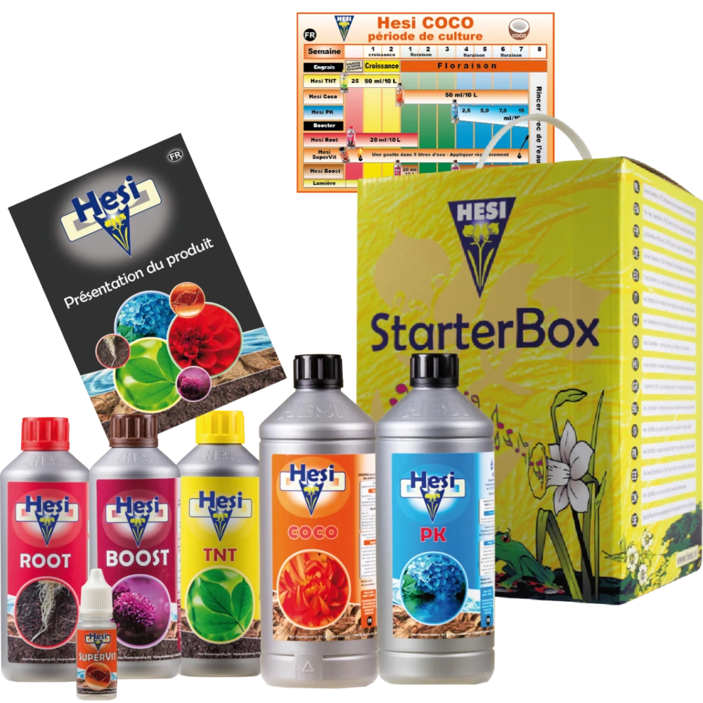 Starterbox Coco 3 Starterbox Coco