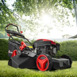 Tondeuse Thermique Autotractée 144.3cc - 46cm Avec Démarrage électrique -mulchin 11 Tondeuse Thermique Autotractée 144.3cc - 46cm Avec Démarrage électrique -mulchin -Magasin De Fournitures De Jardin 63c13674ceff40.04494612