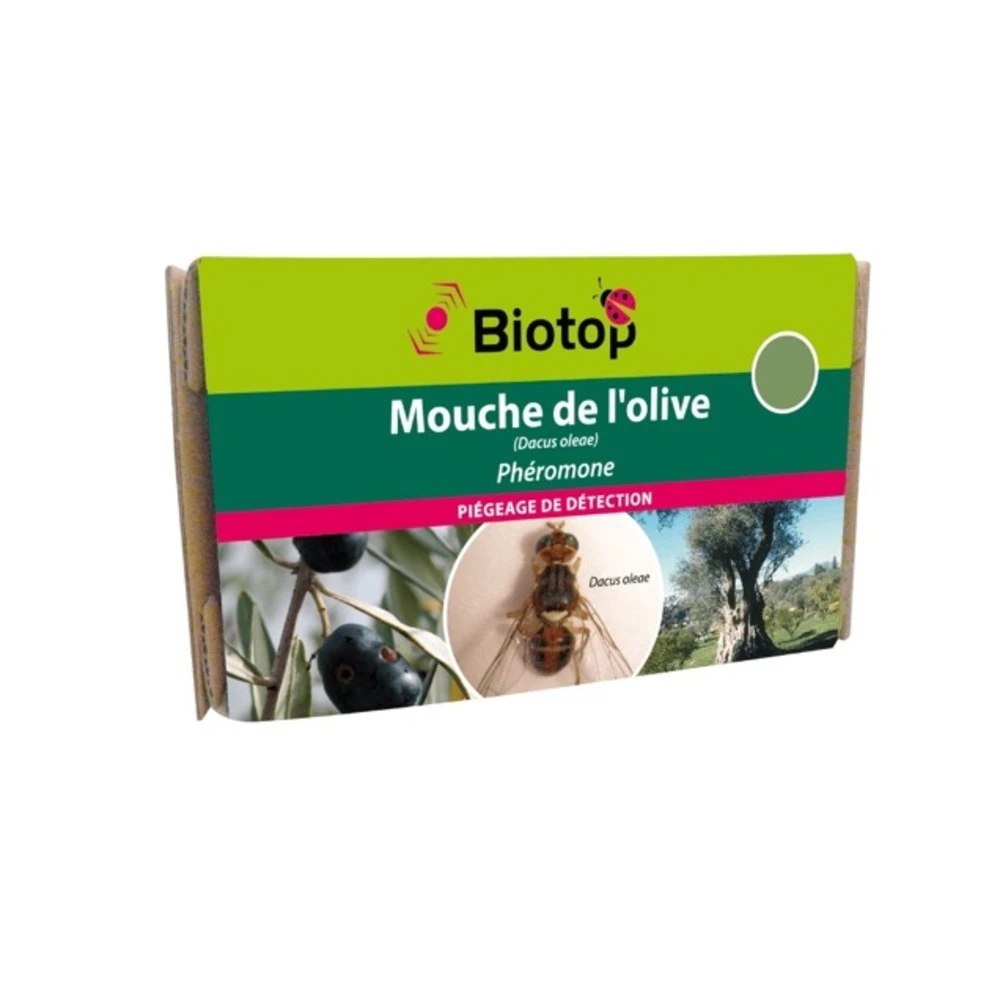 Phéromone Mouche De L'olive (2 Capsules) 3 Phéromone Mouche De L'olive (2 Capsules)