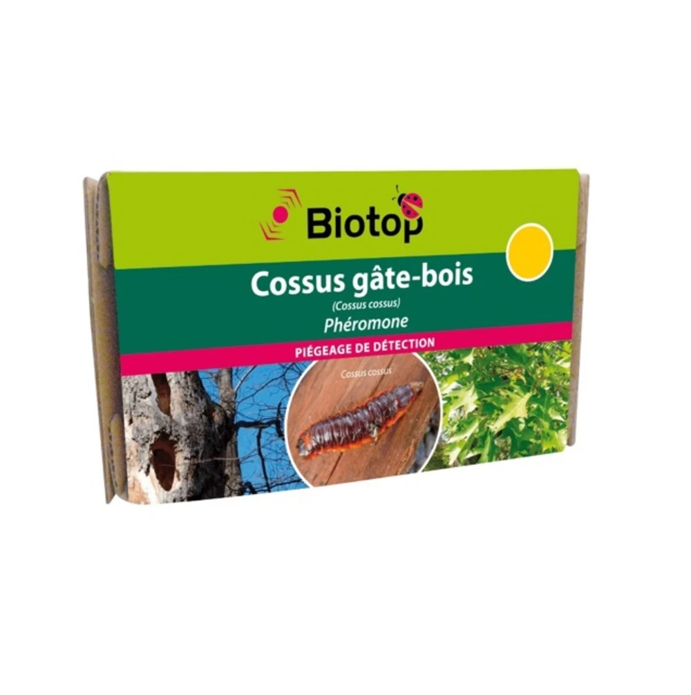 Phéromone Cossus Gâte-bois (2 Capsules) 3 Phéromone Cossus Gâte-bois (2 Capsules)
