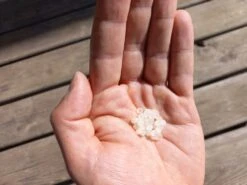 Nématodes Mouches Des Terreaux En Micro-capsules Par 200 -Magasin De Fournitures De Jardin 644181f5c5e9a8.52300689