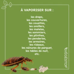Insecticide Anti Punaises De Lits - Preventif - 500 Ml 9 Insecticide Anti Punaises De Lits - Preventif - 500 Ml -Magasin De Fournitures De Jardin 6448242a098451.29082038