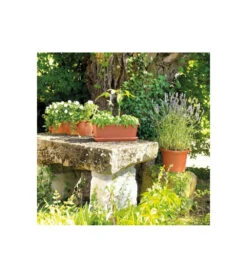 Jardiniere Day R Cotto - Coloris Terre Rouge - 50cm -Magasin De Fournitures De Jardin 645cf55c99edc1.69867466