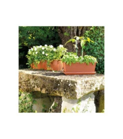 Jardiniere Day R Cotto - Coloris Terre Rouge - 50cm -Magasin De Fournitures De Jardin 645cf55caebad8.93526619