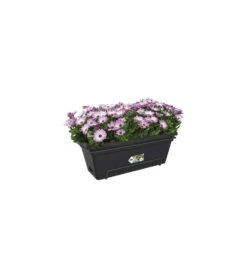 Elho Balconniere Green Basics Allin1 55 - Extérieur & Balcon - Xl - L 32,3 X W 56,4 X H 22,7 Cm - Vivre Noir -Magasin De Fournitures De Jardin 645cf563792c00.96749372