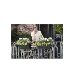 Elho Balconniere Green Basics Allin1 55 - Extérieur & Balcon - Xl - L 32,3 X W 56,4 X H 22,7 Cm - Vivre Noir -Magasin De Fournitures De Jardin 645cf56390dbb6.90868122