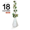 Ouigrow Tradi 18 Cultures