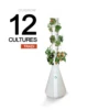 Ouigrow Tradi 12 Cultures -Magasin De Fournitures De Jardin 645e2eb0c505b4.88324937