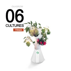 Ouigrow Tradi 6 Cultures