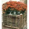 Jardinière En Bois De Noisetier Tressé - 75 X 30 X 30 Cm -Magasin De Fournitures De Jardin 646e57f1ab44c6.53702380