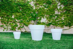 Pot De Fleurs Magnolia 80 ø80x76cm - Blanc 7 Pot De Fleurs Magnolia 80 ø80x76cm - Blanc -Magasin De Fournitures De Jardin 6470a36013f0e6.96820681