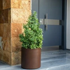 Pot De Fleurs Hortensia 50 ø50x50cm - Noir -Magasin De Fournitures De Jardin 6470a3705e5665.40800448