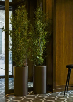 Pot De Fleurs Rond Palma 70 Taupe Opaque ø35x70cm 5 Pot De Fleurs Rond Palma 70 Taupe Opaque ø35x70cm -Magasin De Fournitures De Jardin 6470a375e8eef7.24331295