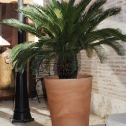 Pot De Fleurs Gerbera ø50x59,5cm - Couleur Terracota -Magasin De Fournitures De Jardin 6478c7f37132f4.43209447