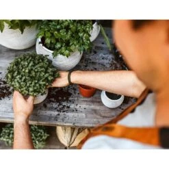 Ensemble De Pot De Fleurs Boule Nature Rib Ivoire -Magasin De Fournitures De Jardin 647989580b9a73.15976292