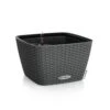LECHUZA Jardinière Bacino Cottage All-in-one 30x30 Cm Noir Graphite -Magasin De Fournitures De Jardin 6479895b546b40.96121380