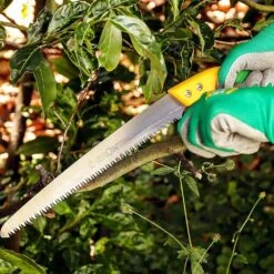 Scie D'élagage Barrakuda 450 Mm 11 Scie D'élagage Barrakuda 450 Mm -Magasin De Fournitures De Jardin 647989a022fe55.39377757