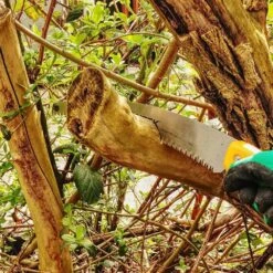 Scie D'élagage Orca 485 Mm 15 Scie D'élagage Orca 485 Mm -Magasin De Fournitures De Jardin 647989a0b696a7.10727540