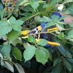 Sécateur De Contournement De Jardin Z-19 200 Mm -Magasin De Fournitures De Jardin 64798cc454e176.12107553