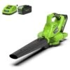 Greenworks Aspirateur De Pelouse à Main 40 V Vert 1 Greenworks Aspirateur De Pelouse à Main 40 V Vert -Magasin De Fournitures De Jardin 6480d34fcb9c92.79047997