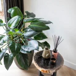 Vase élégant Groove 46x58 Cm Anthracite -Magasin De Fournitures De Jardin 6482c45ae4ed23.22651179