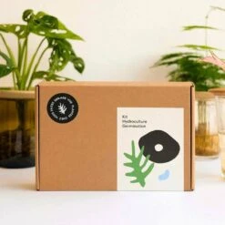 Coffret De Germination 9 Coffret De Germination -Magasin De Fournitures De Jardin 64871012cf5773.36527871