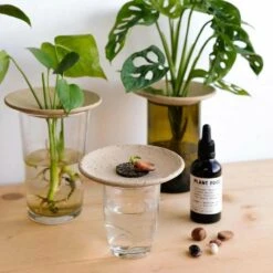 Coffret De Germination 8 Coffret De Germination -Magasin De Fournitures De Jardin 64871012d300e2.81641891