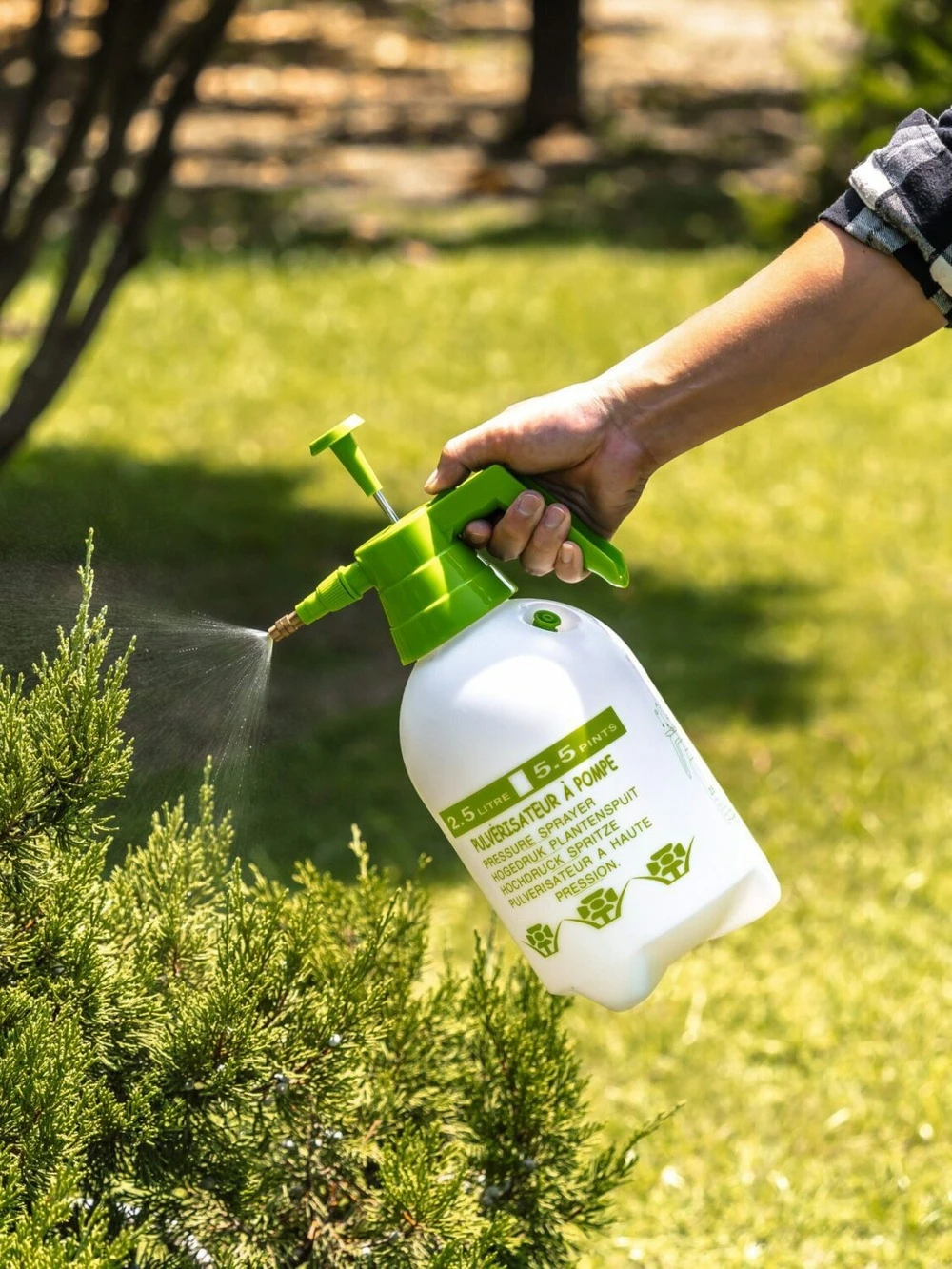 Pulvérisateur à Pression - Suan - Multiusages Pour Le Jardin Et La Maison - Contenance : 2500 Ml 4 Pulvérisateur à Pression - Suan - Multiusages Pour Le Jardin Et La Maison - Contenance : 2500 Ml – Image 2