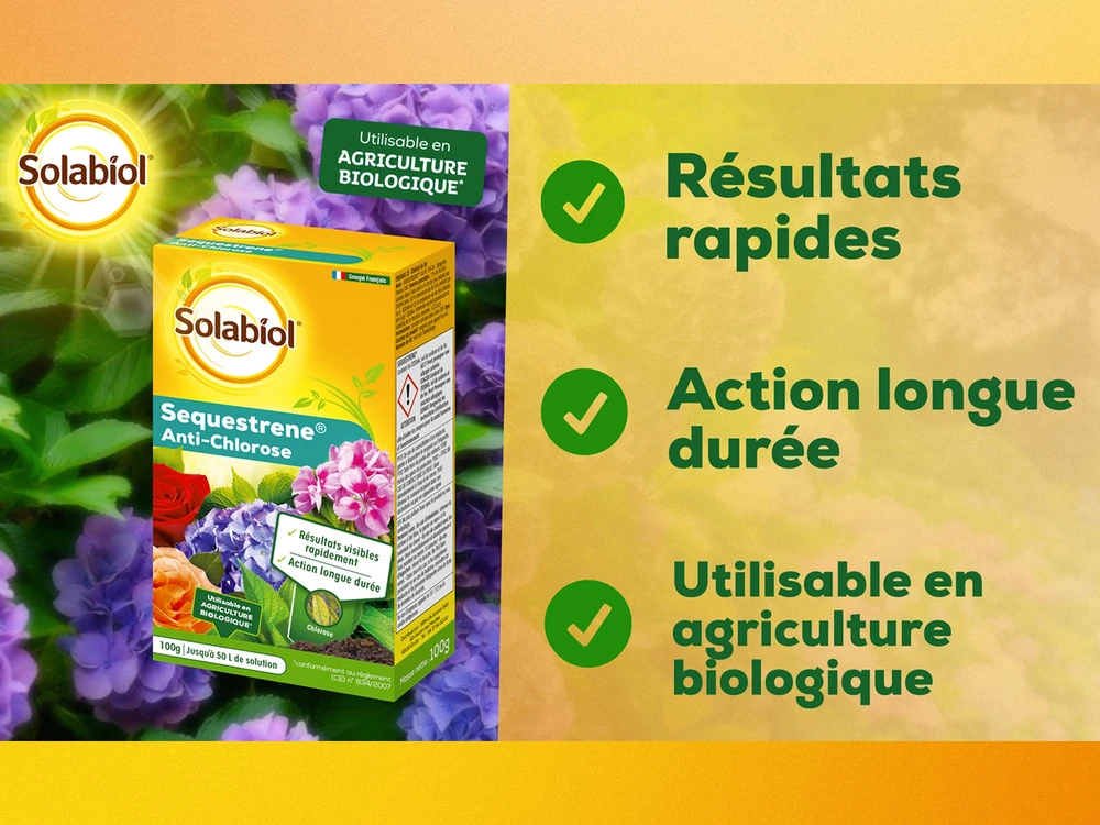 Solabiol Soseq01 | Sequestrene Antichlorose 100g | Action Longue Durée | Fabriq 4 Solabiol Soseq01 | Sequestrene Antichlorose 100g | Action Longue Durée | Fabriq – Image 2