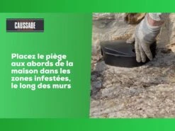 Carpt720 Lot De 4 Boîtes Raticide Canadien Pat'appât Fortes Infestatio 11 Carpt720 Lot De 4 Boîtes Raticide Canadien Pat'appât Fortes Infestatio -Magasin De Fournitures De Jardin 6eb79456855960f1