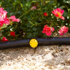 100 Goutteurs Reglables 0-40 L/h Pour Arrosage Goutte à Goutte 9 100 Goutteurs Reglables 0-40 L/h Pour Arrosage Goutte à Goutte -Magasin De Fournitures De Jardin 955363 1713454